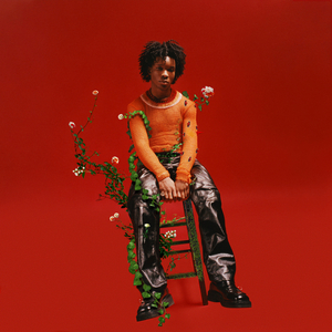 厨房肉欲(H)+冰块
